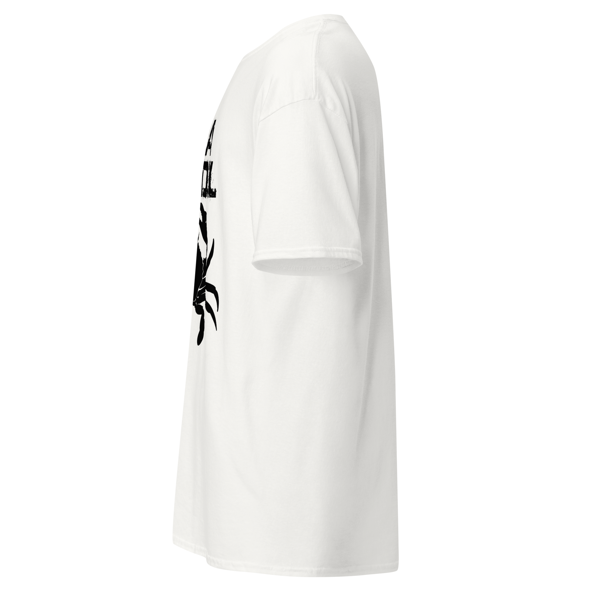 BRESH | NELLA TANA DEL GRANCHIO